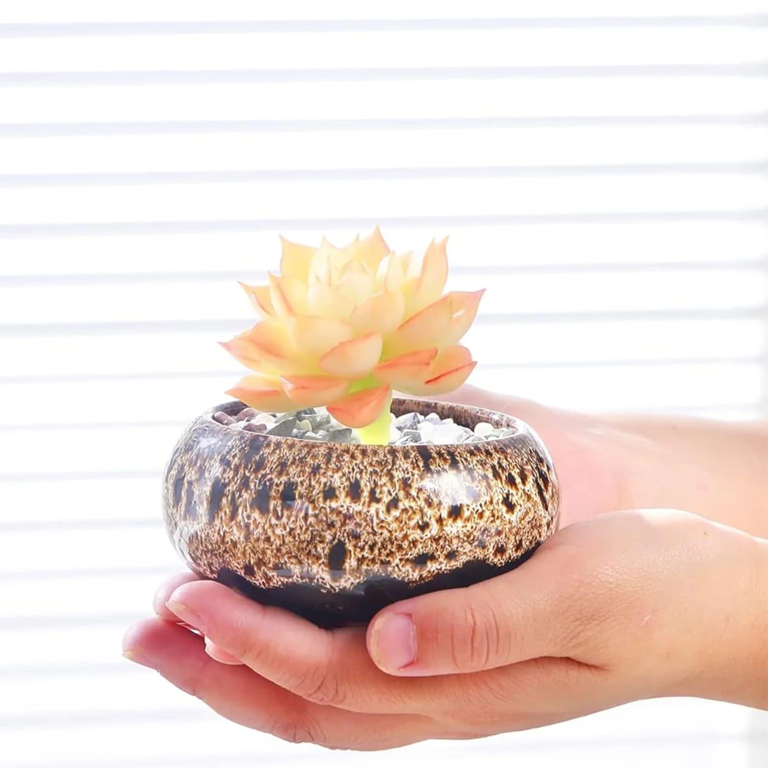 Mini Ceramic Bonsai Pots Set of 6