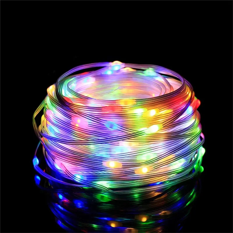 Bluetooth RGBIC Dreamcolor Fairy Lights