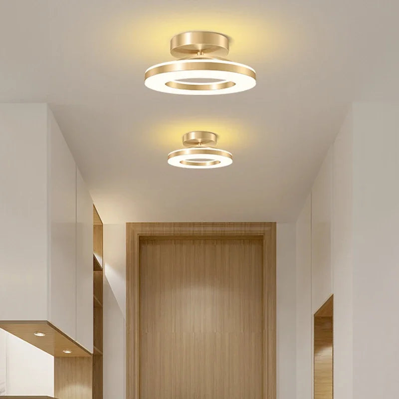 Modern Round Indoor Ceiling Lamp