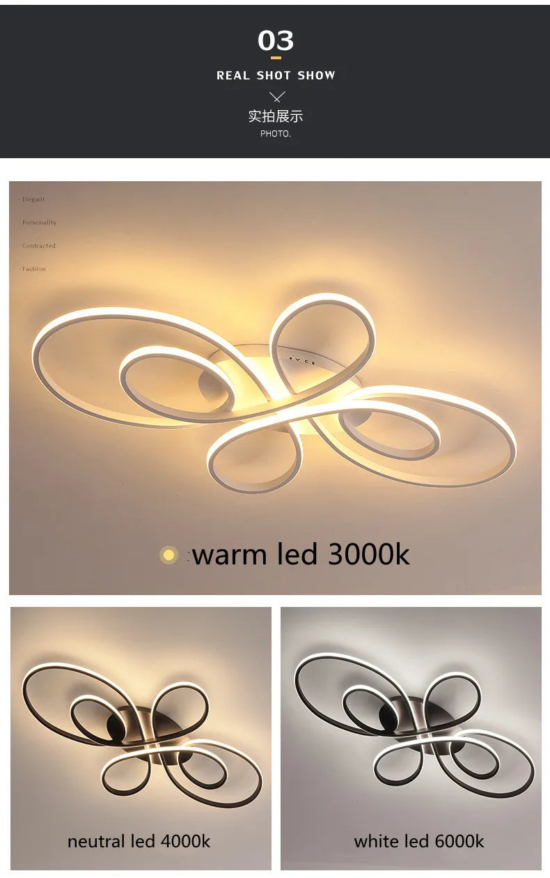 Dimmable Remote Control Ceiling Light