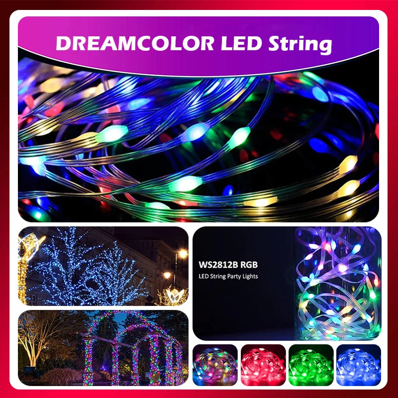 Bluetooth RGBIC Dreamcolor Fairy Lights