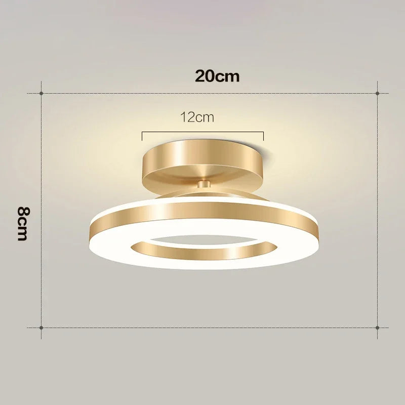 Modern Round Indoor Ceiling Lamp