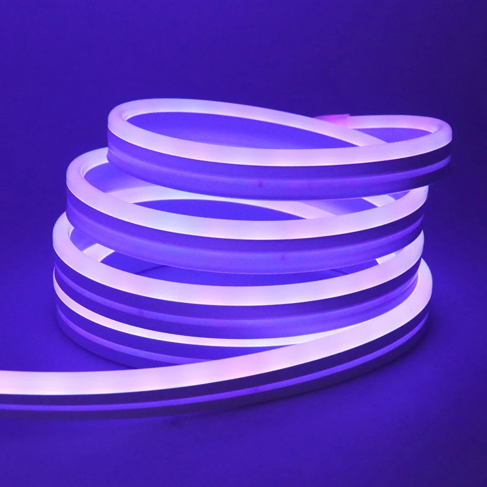 DC24V RGB Neon Rope Light
