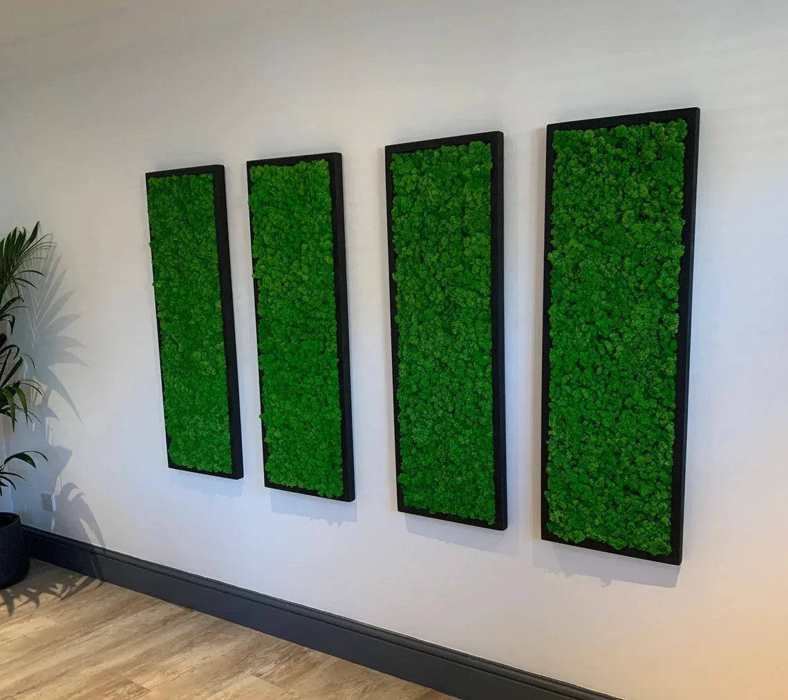 200g Artificial Green Plants Mini Landscape Eternal Life Moss