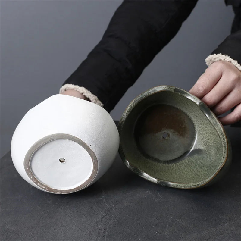 Rhino Horn Ceramic Succulent Planter