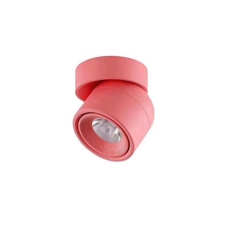 Rotatable Anti Glare Surface Mount Spotlight