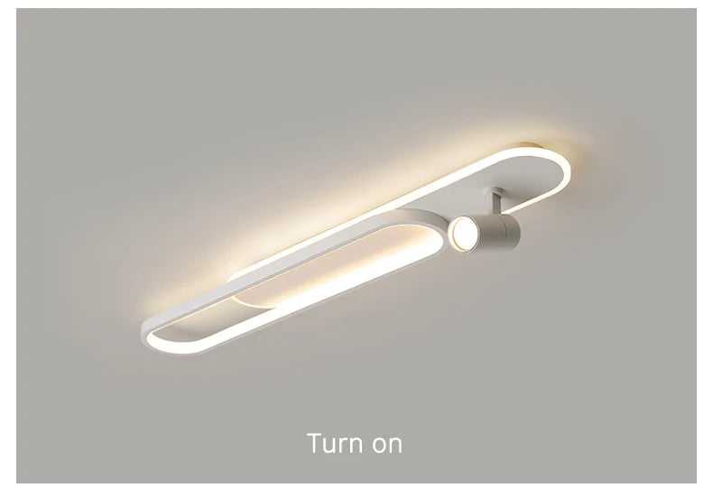 Ceiling Light with Adjustable Spotlights