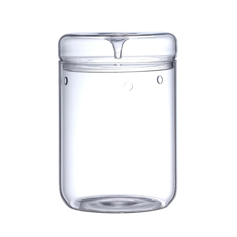 Glass Terrarium Bottle Vase