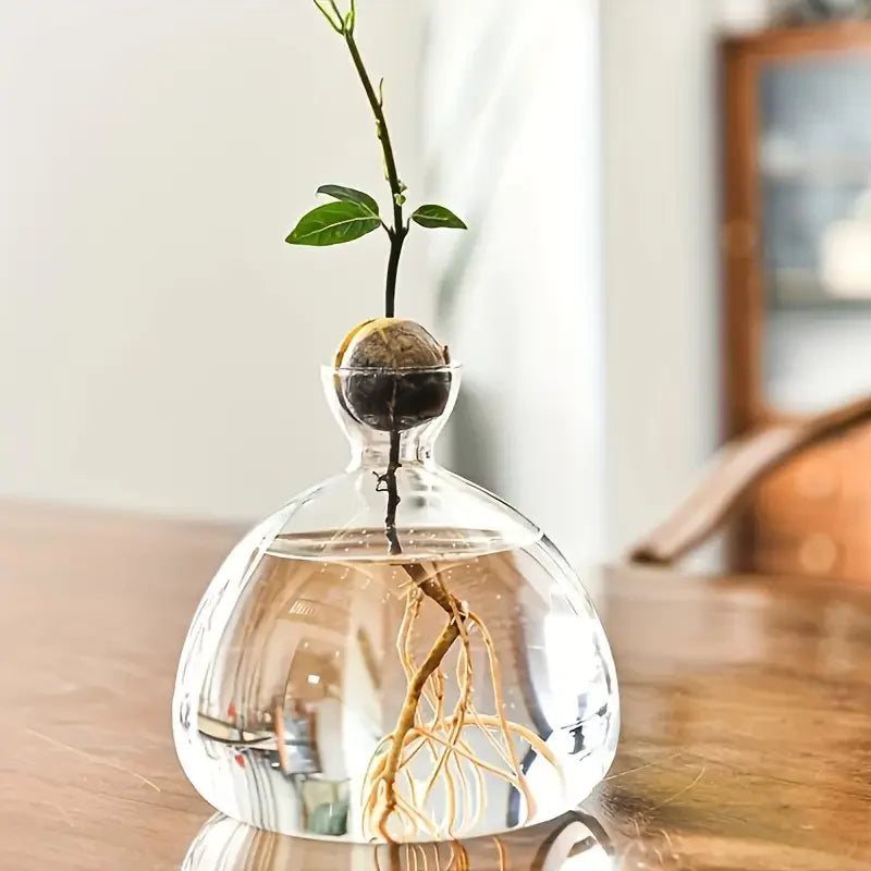 Glass Bulb Seed Starter Vase