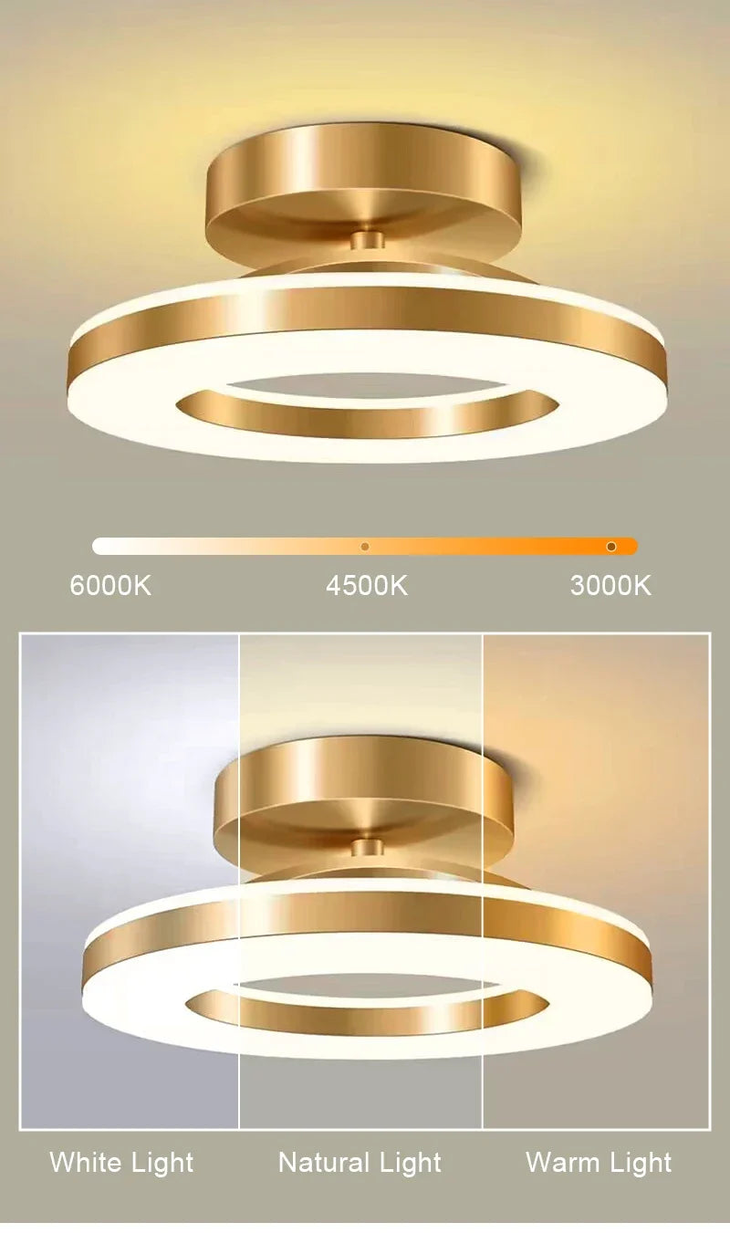Modern Round LED Ceiling Light