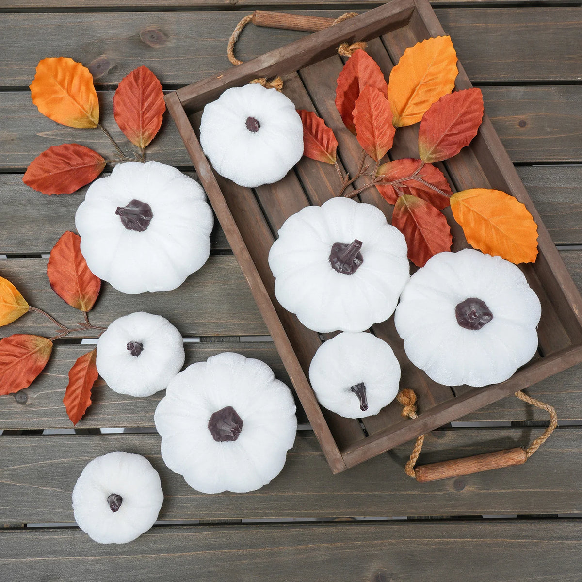 White Velvet Pumpkins, Set of 6
