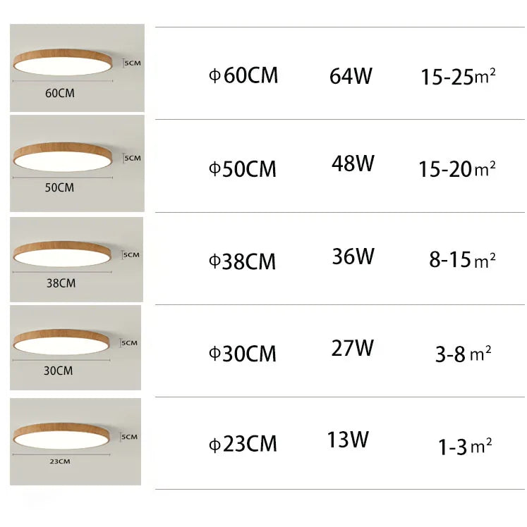 Modern LED Flush Mount Ceiling Light