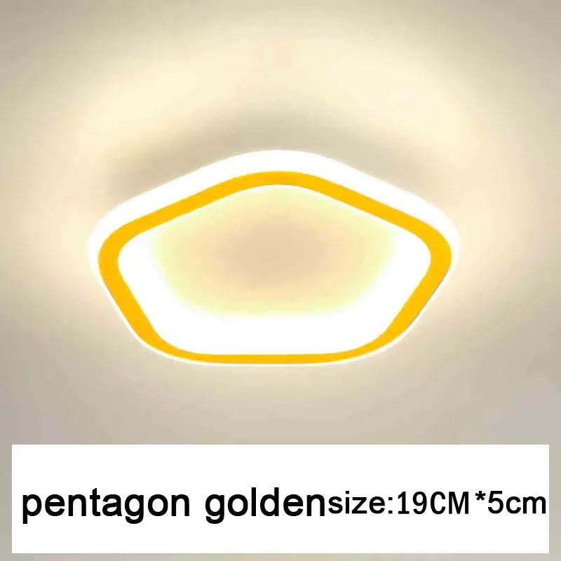 Modern Nordic LED Surface Mounted Ceiling Light