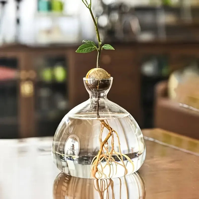 Glass Bulb Seed Starter Vase