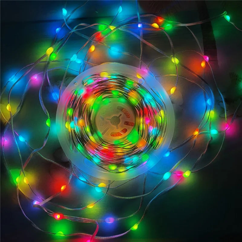 Bluetooth RGBIC Dreamcolor Fairy Lights