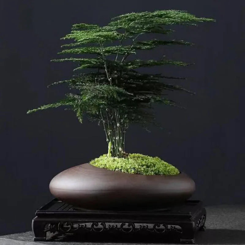 Retro Purple Clay Plant Pot Chinese Style Orchid Asparagus