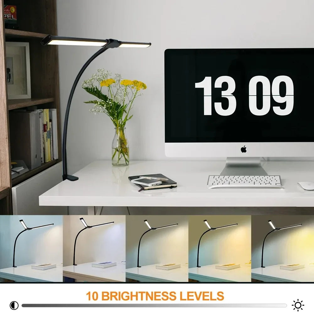 Architect Gooseneck Desk Lamp