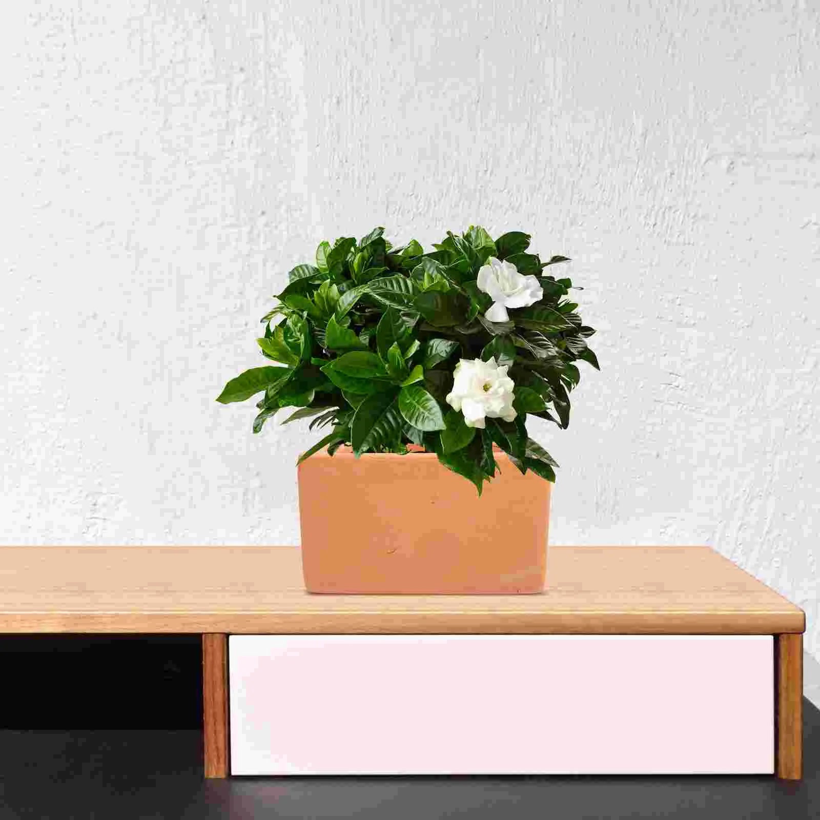 Terracotta Plant Pots Set of 3