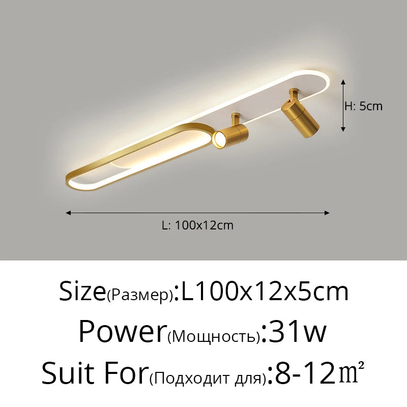 Ceiling Light with Adjustable Spotlights