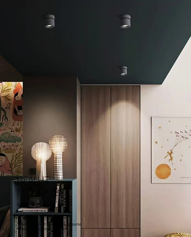 Rotatable Anti Glare Surface Mount Spotlight