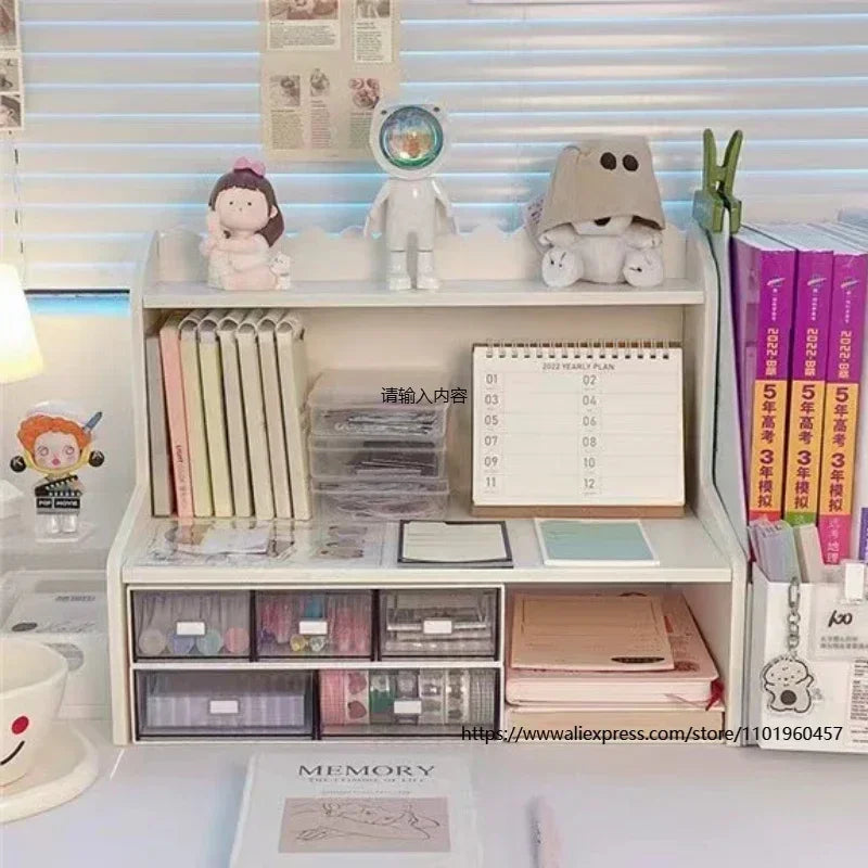 Two Layer Desktop Organizer Shelf