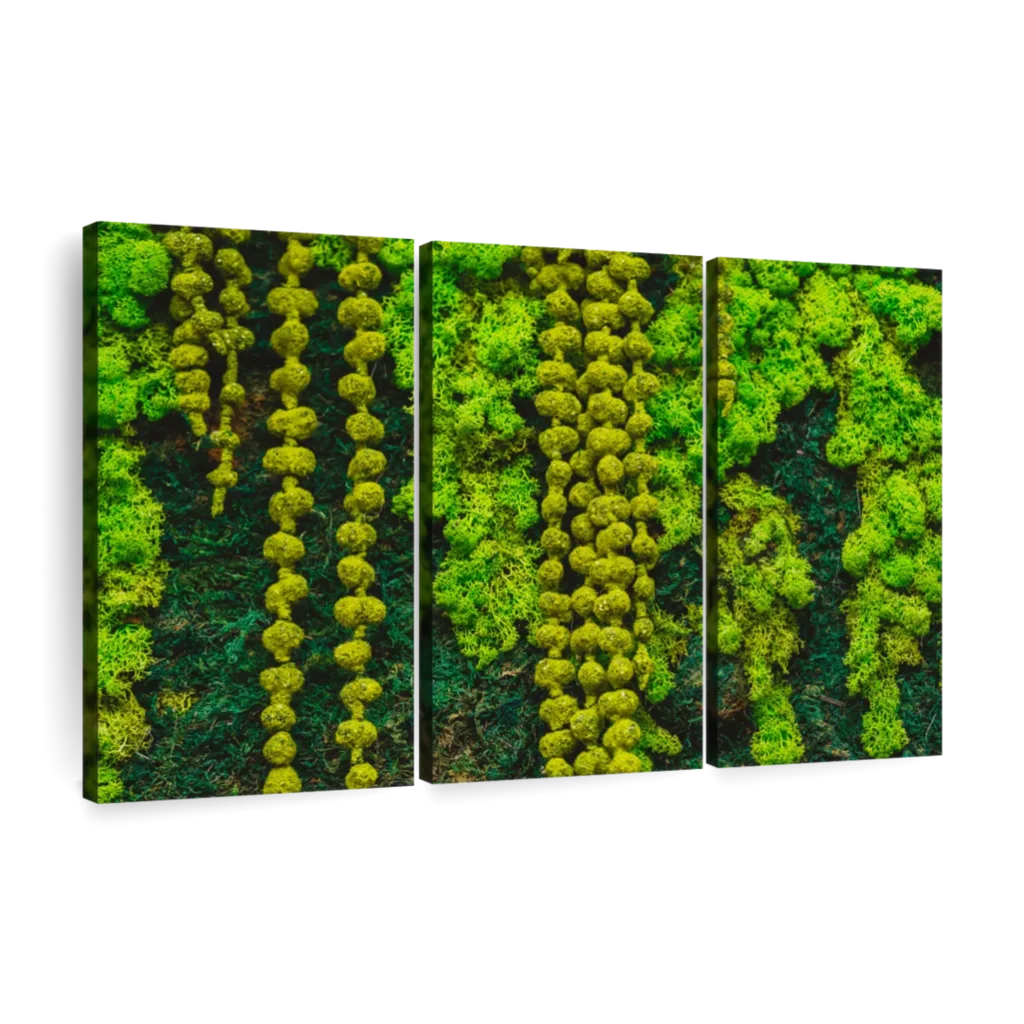 200g Artificial Green Plants Mini Landscape Eternal Life Moss