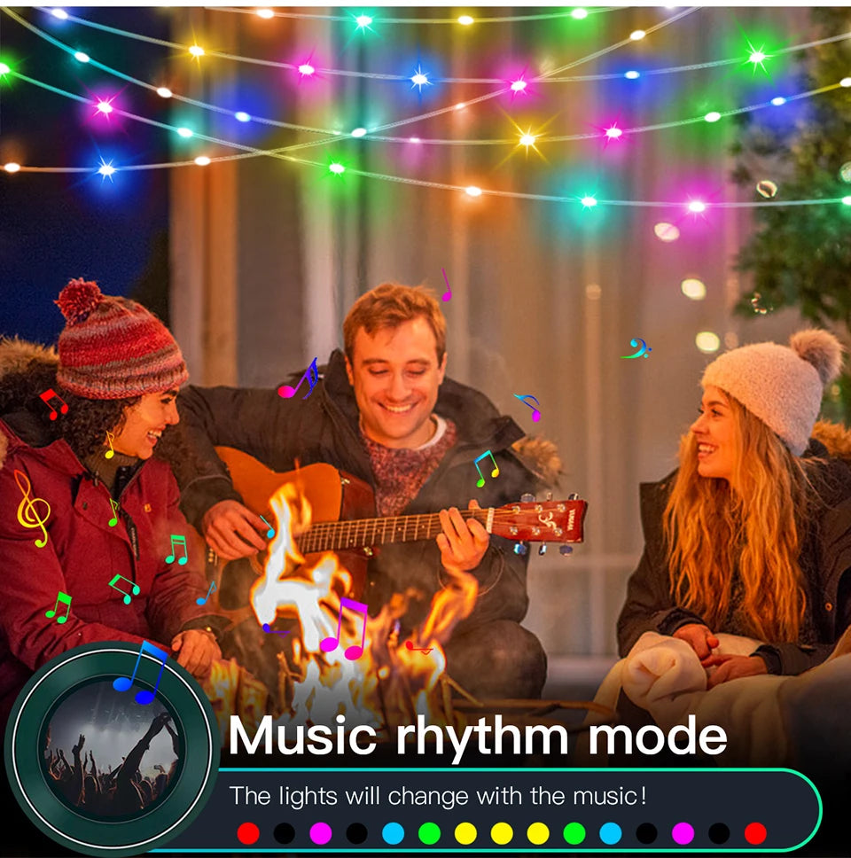 Bluetooth RGBIC Dreamcolor Fairy Lights