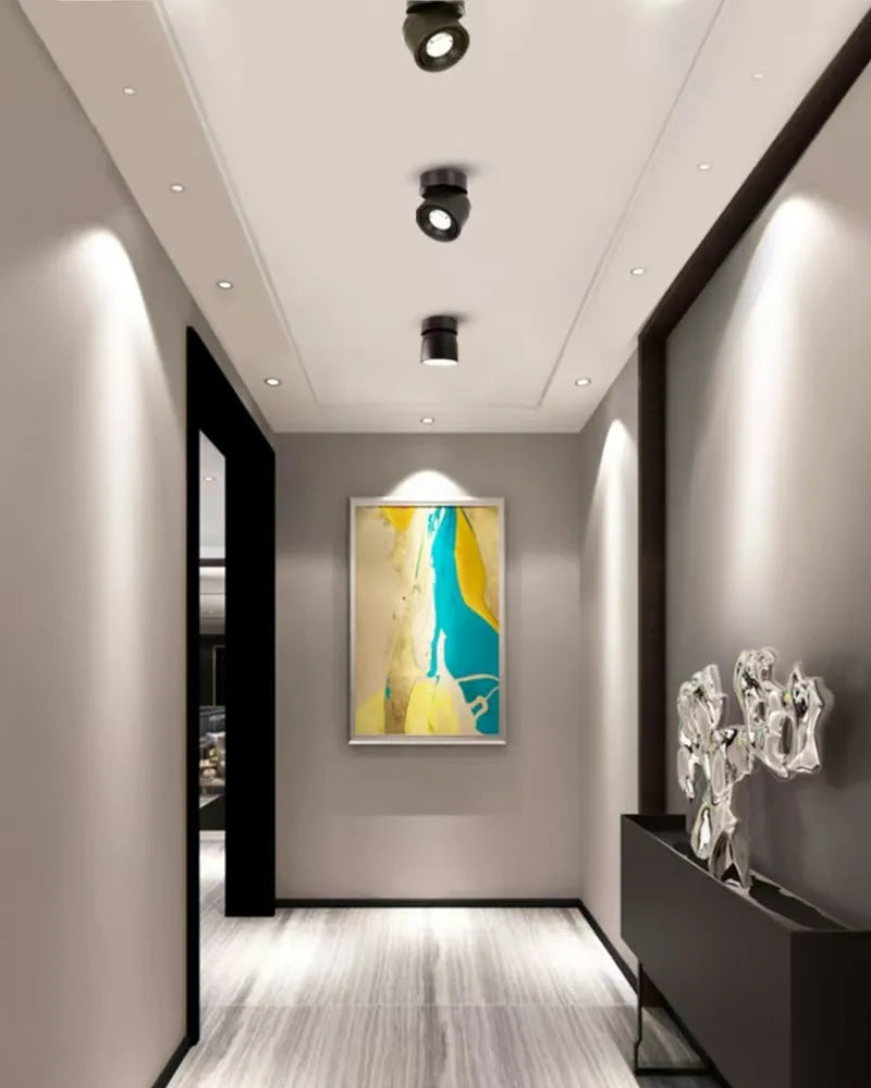 Rotatable Anti Glare Surface Mount Spotlight