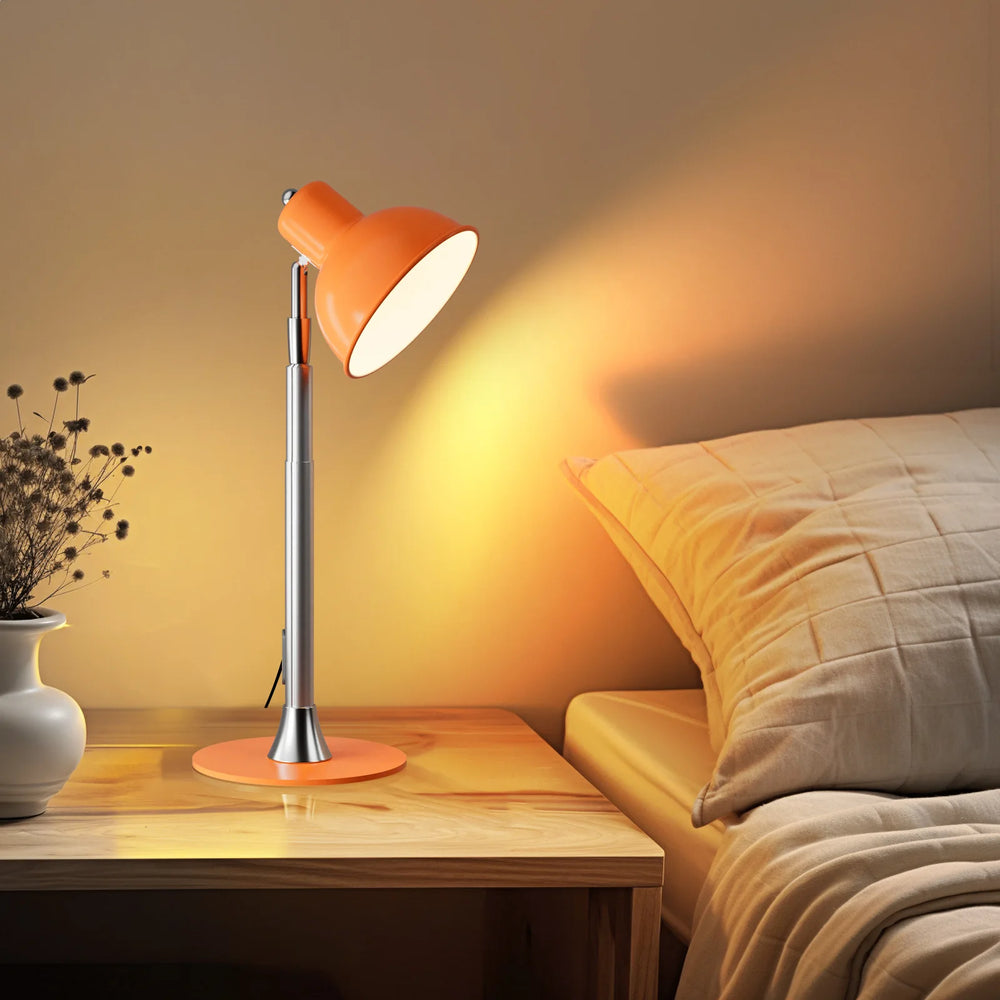 Telescopic Adjustable Floor Lamp