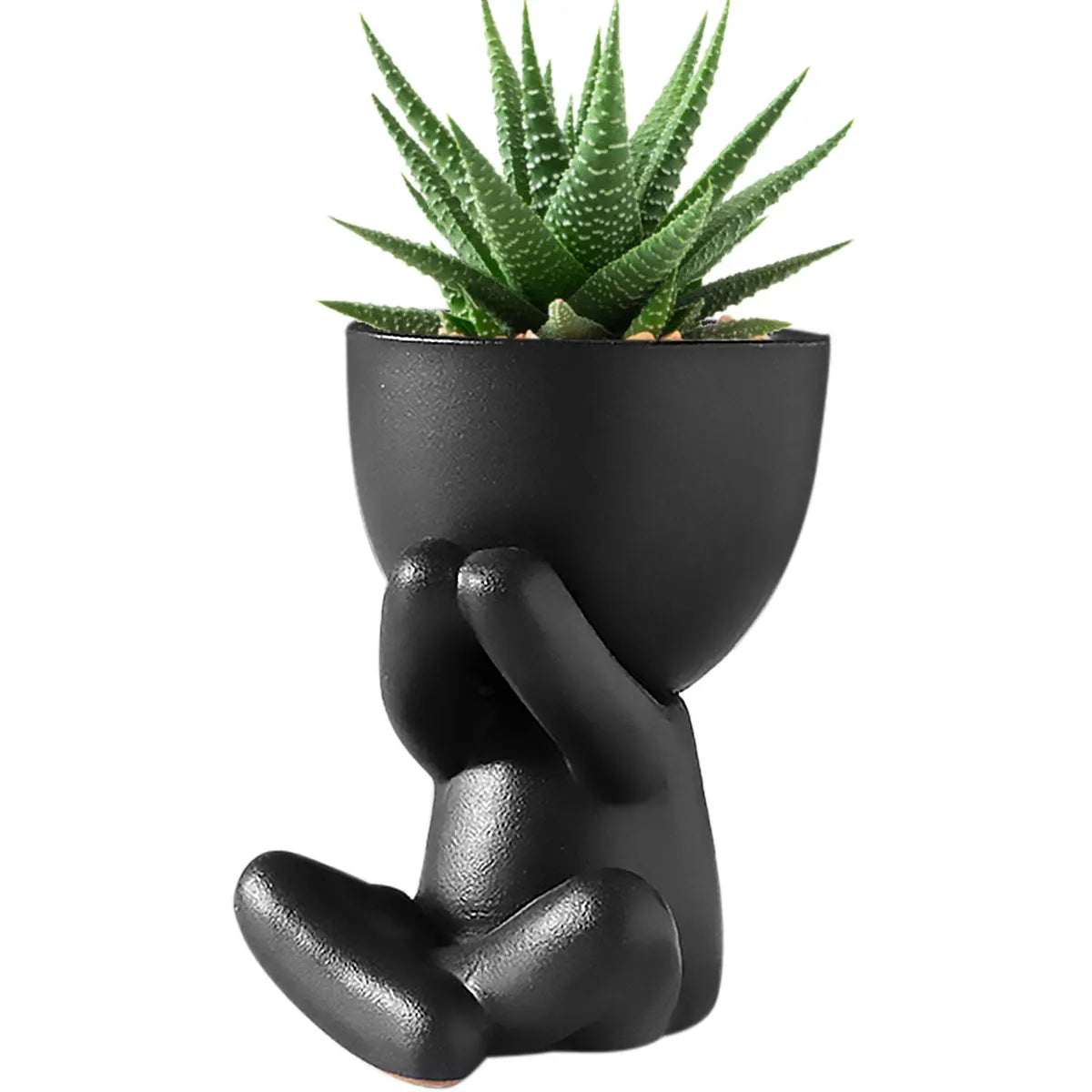 Animal Shaped Ceramic Succulent Pots