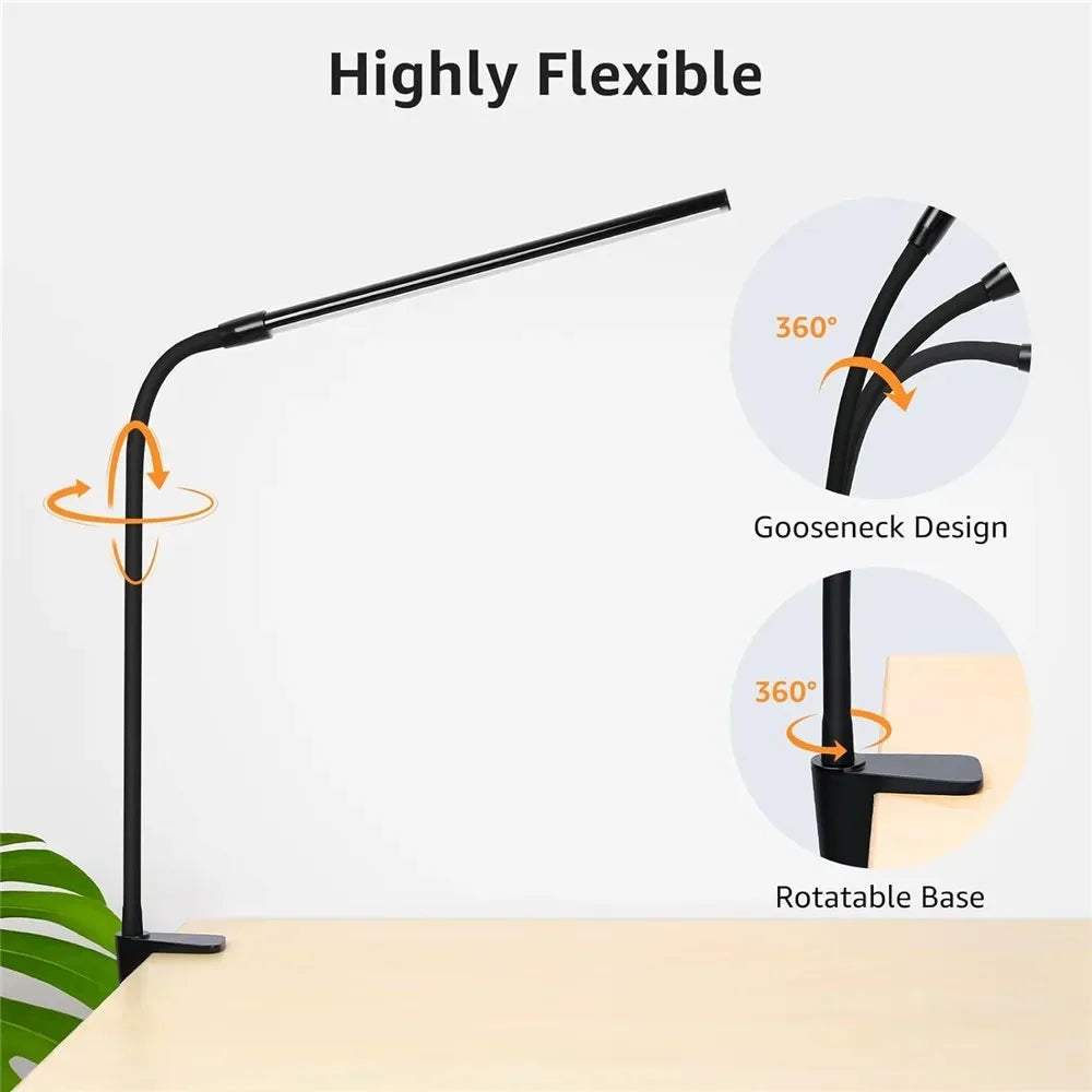 Architect Gooseneck Desk Lamp