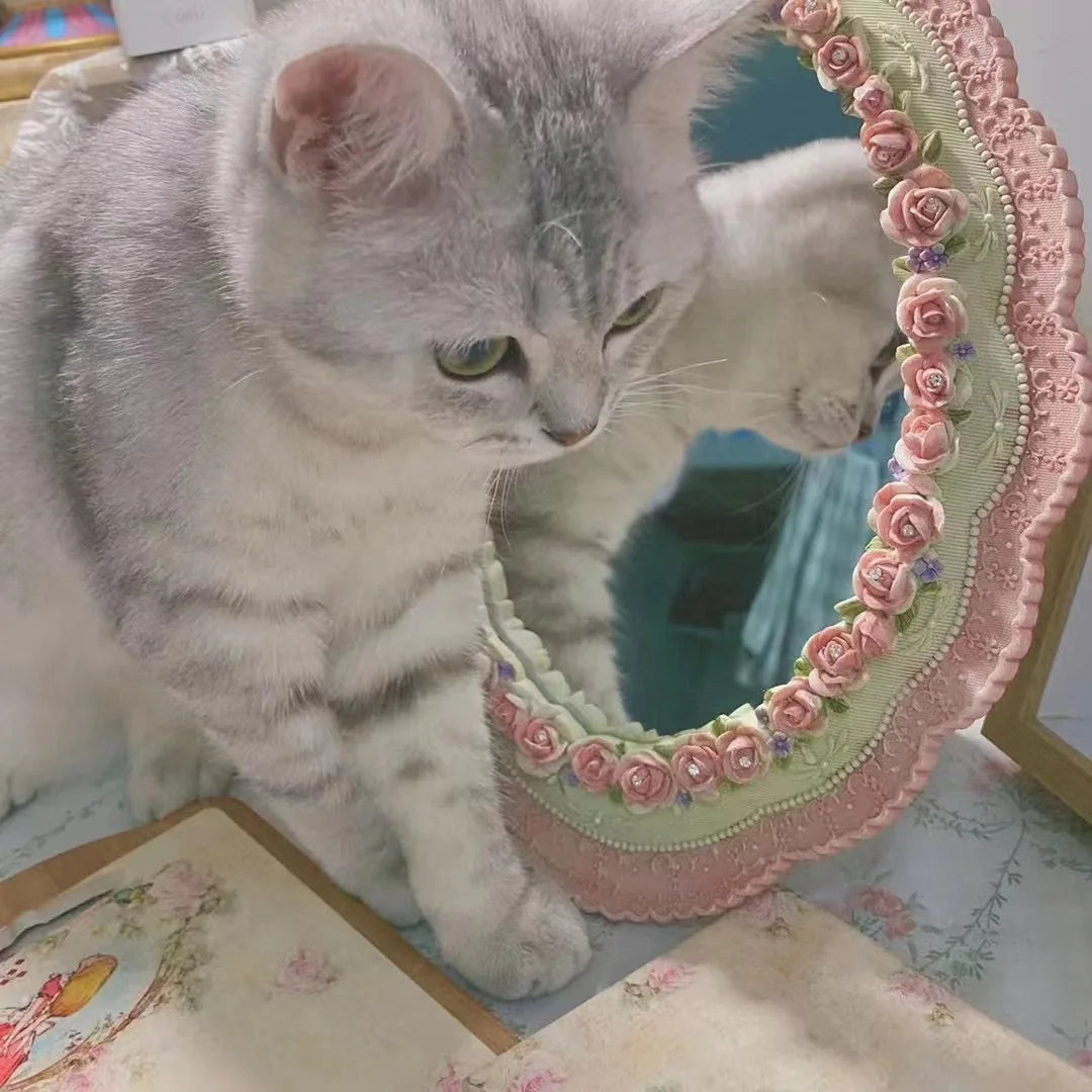 Pink Baroque Vanity Mirror