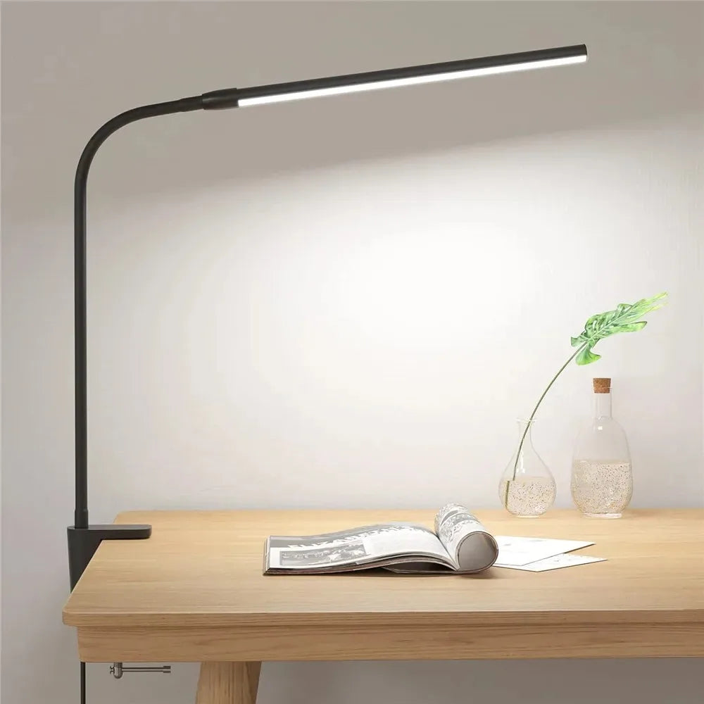Architect Gooseneck Desk Lamp
