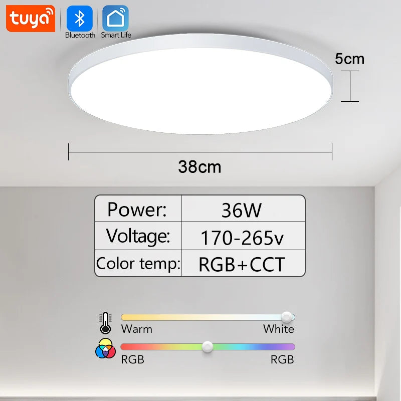 Smart Dimmable RGB LED Ceiling Light