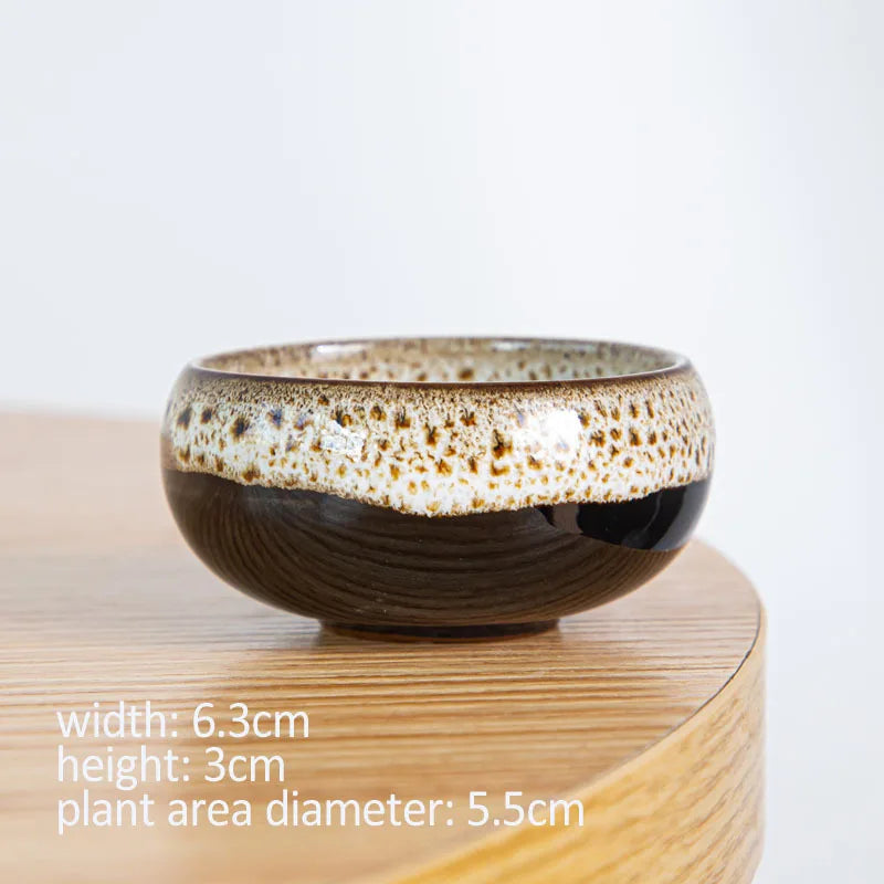 Mini Ceramic Bonsai Pots Set of 6
