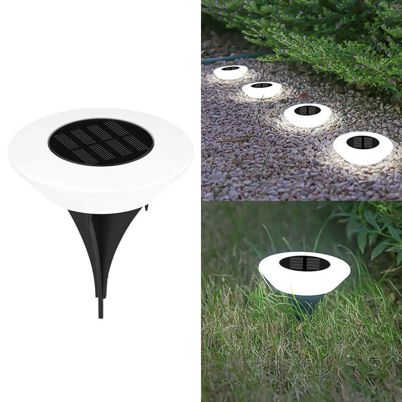 Solar Disk Pathway Lights