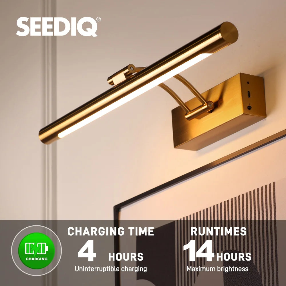 Rechargeable Picture Light with Remote