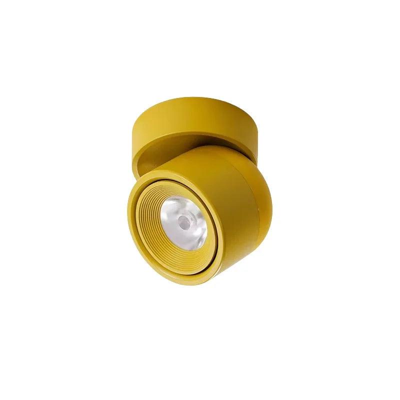 Rotatable Anti Glare Surface Mount Spotlight