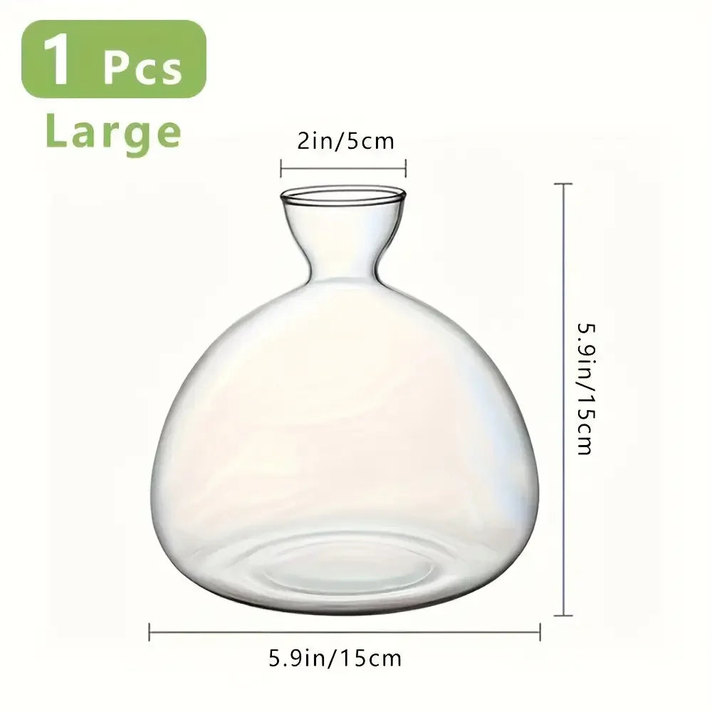 Glass Bulb Seed Starter Vase