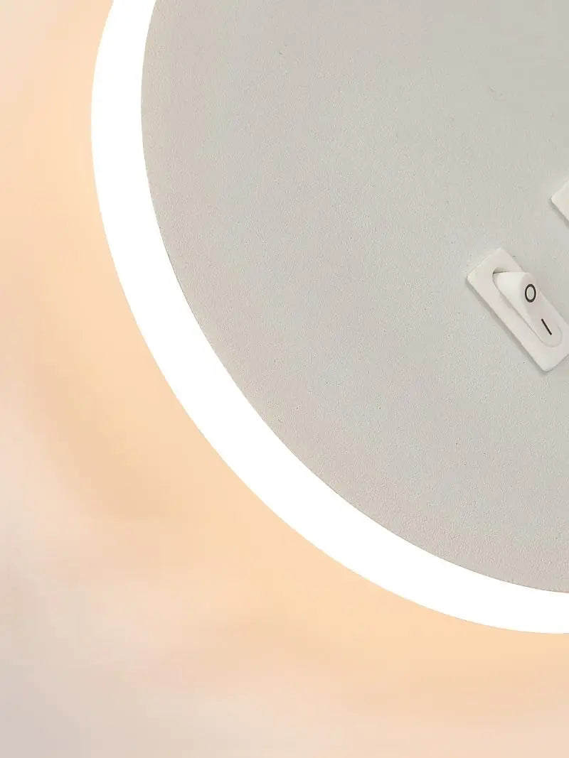 Gooseneck Reading Wall Lamp with USB