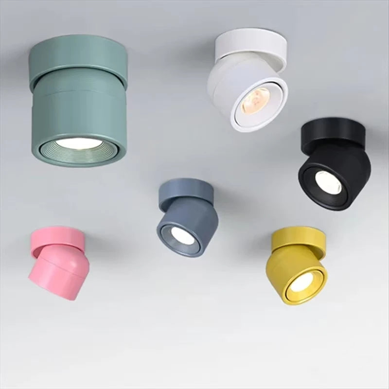 Rotatable Anti Glare Surface Mount Spotlight