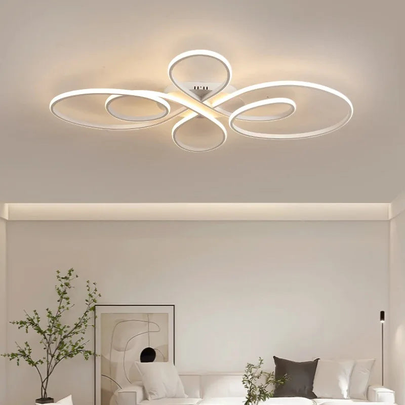 Low Profile Modern Ceiling Light