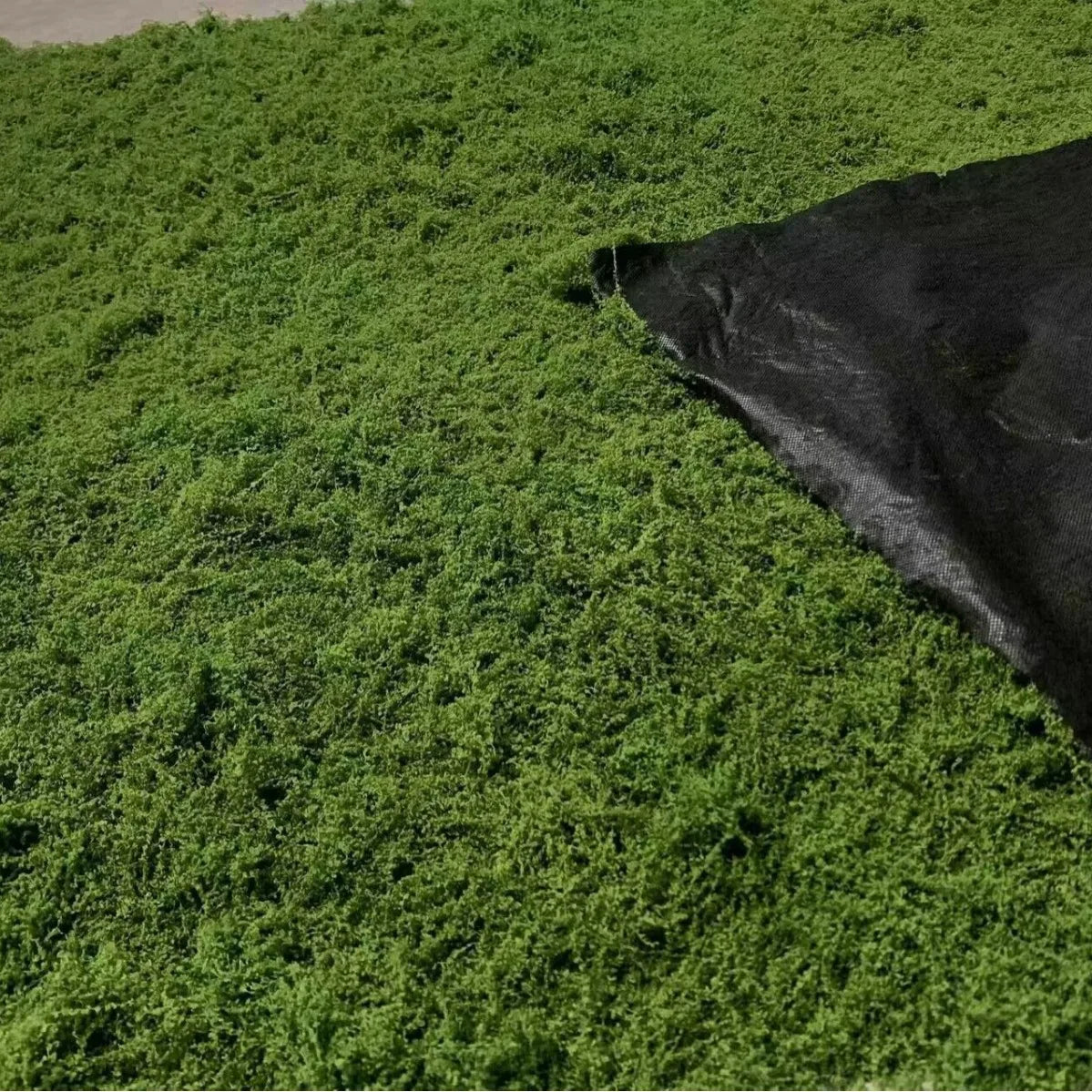 Artificial Preserved Moss Mat