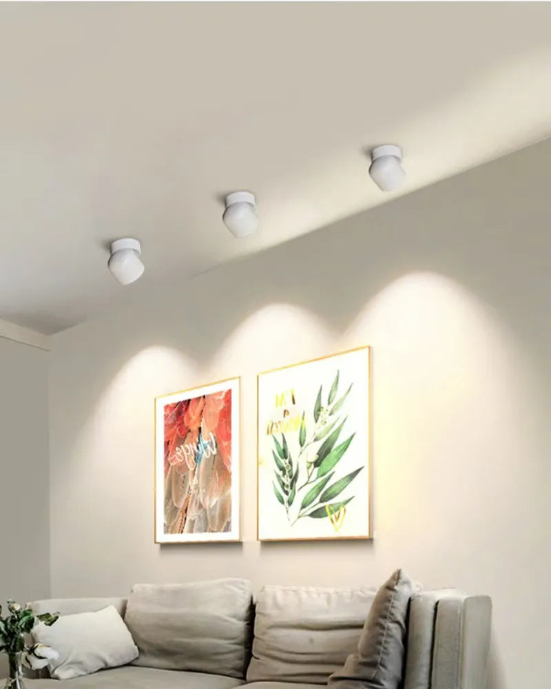 Rotatable Anti Glare Surface Mount Spotlight