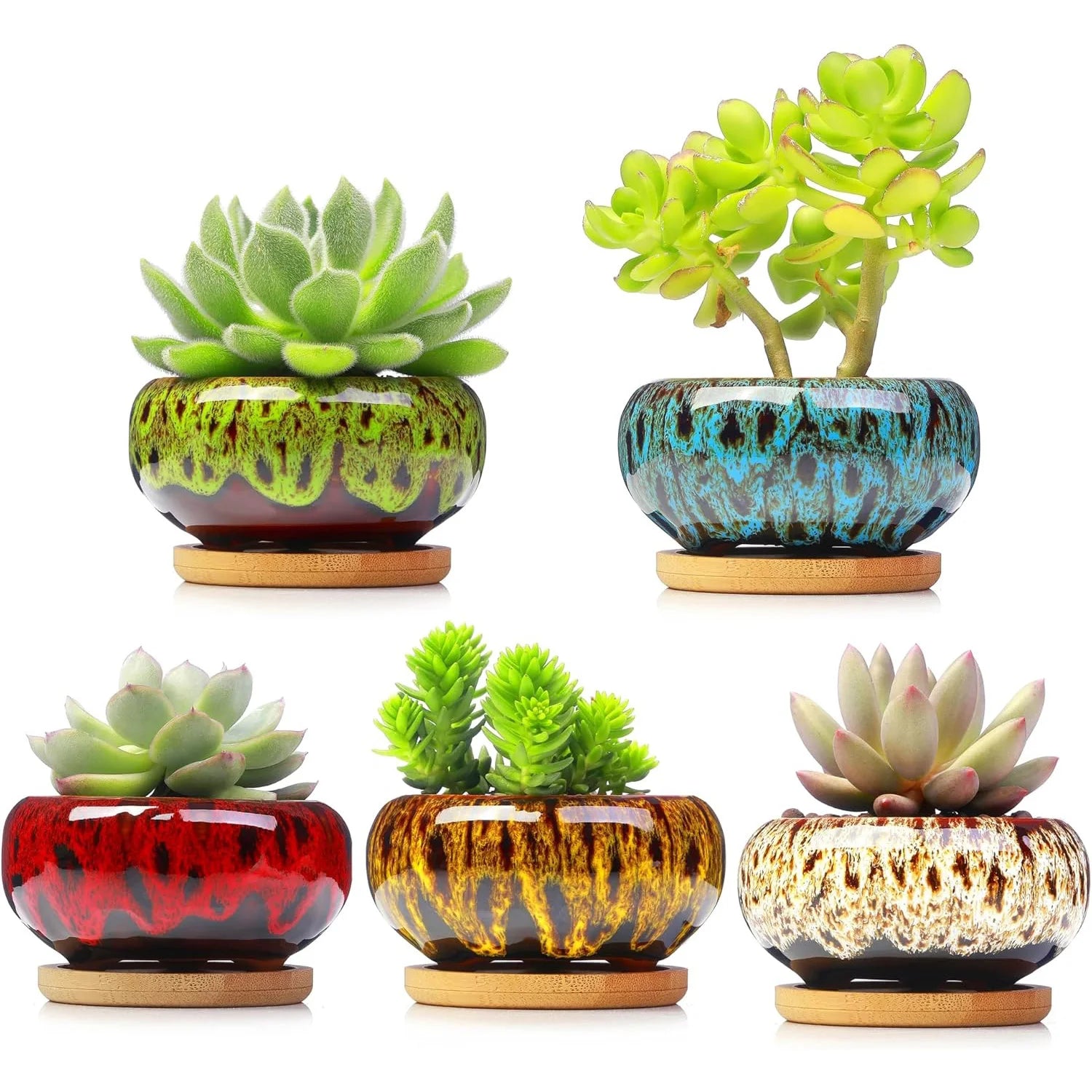 Mini Ceramic Bonsai Pots Set of 6