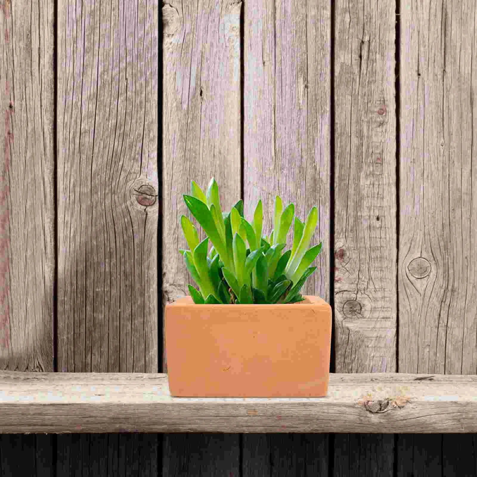 Terracotta Plant Pots Set of 3