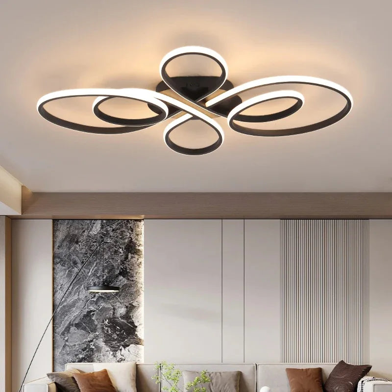 Low Profile Modern Ceiling Light