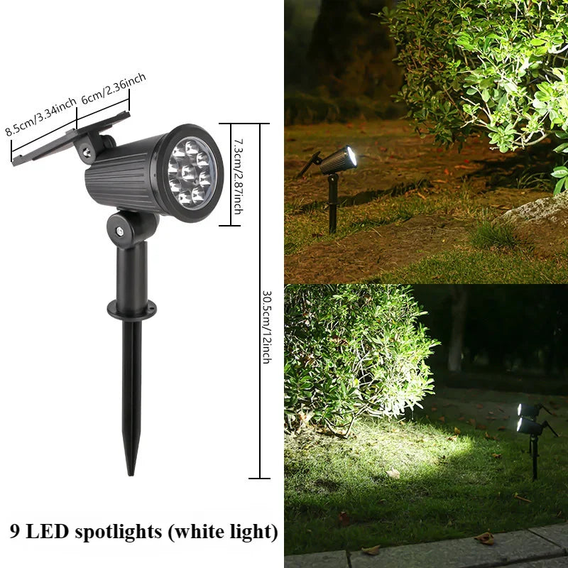 Solar Landscape Spotlight