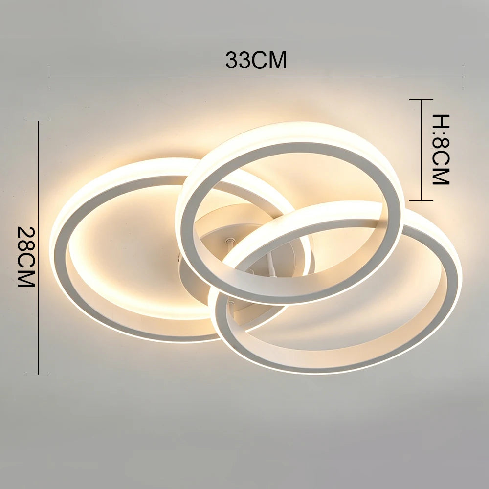 Modern LED Hallway Ceiling Light