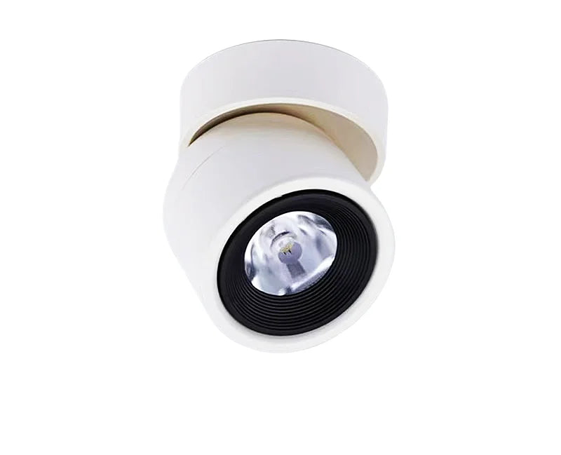 Rotatable Anti Glare Surface Mount Spotlight